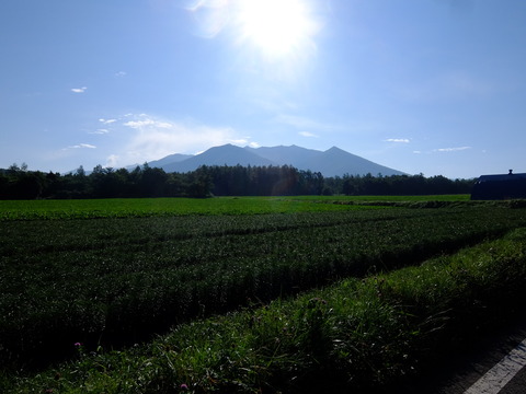 DSCF3263