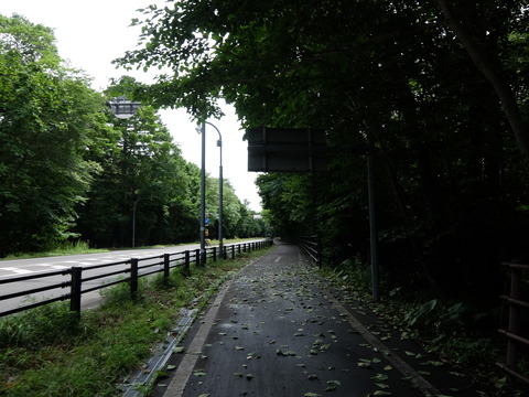 DSCF6660