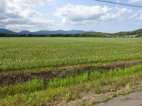 DSC00078