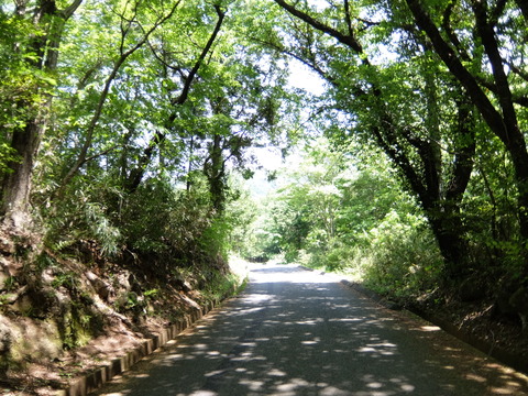 DSCF5581