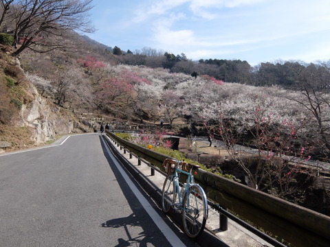 DSCF5991