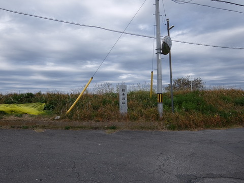 DSCF5847