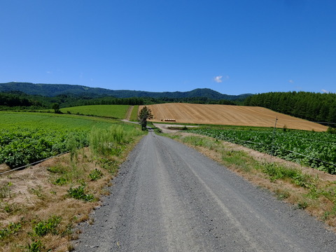 DSCF3180