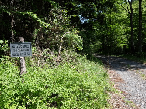 DSCF1790