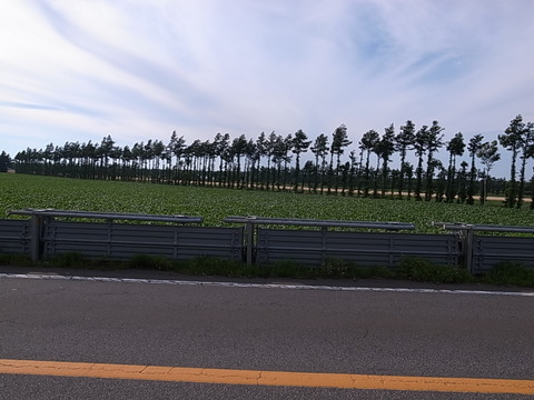 R0011425