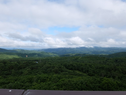 DSCF4949