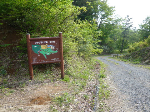 P1020084