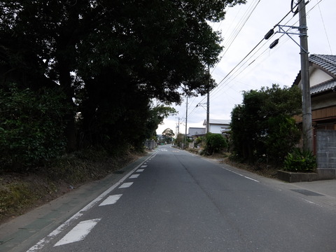 DSCF5928