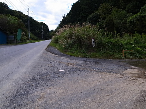 R0011591