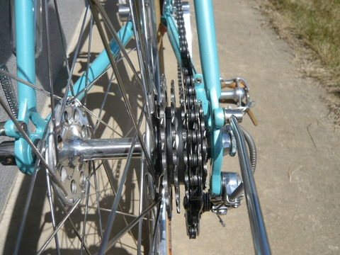 rearcog