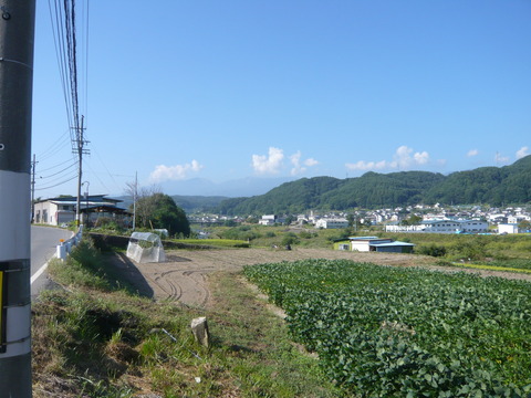 P1010837