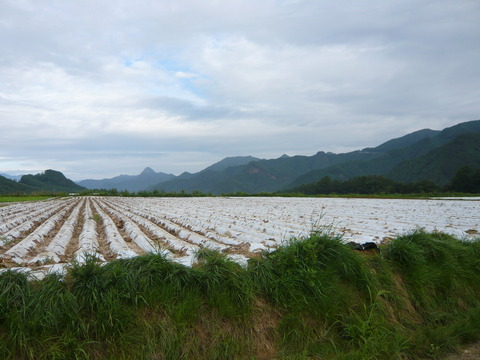 P1010695
