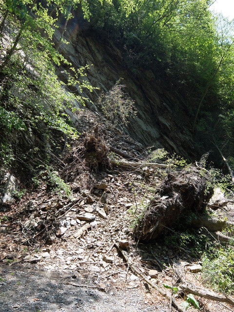 DSCF1812