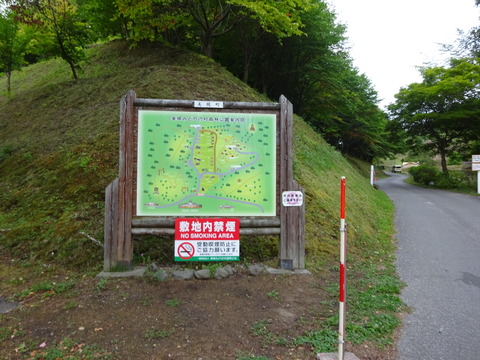 DSC00453