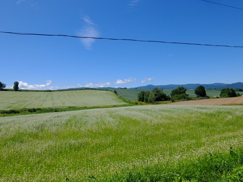 DSCF3149