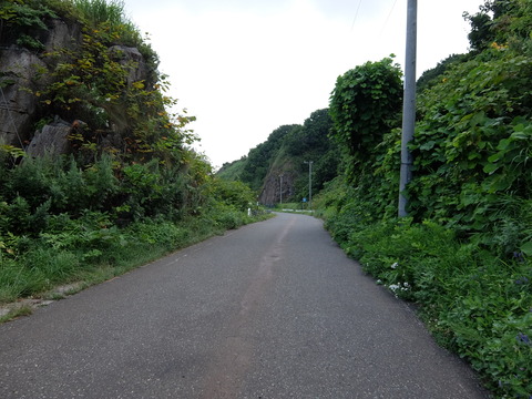 DSCF4217