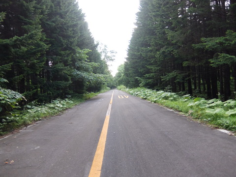 DSCF2474