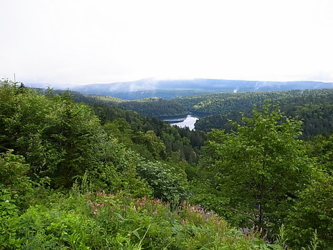 R0011902