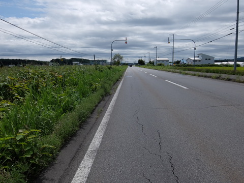 DSCF7352