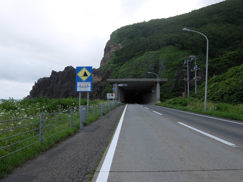 DSCF2603
