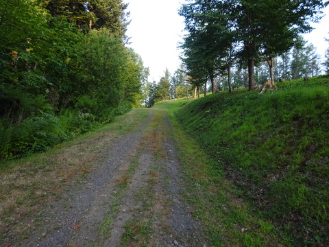 DSC00445