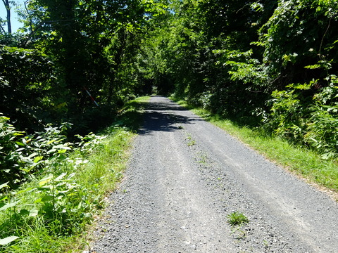 DSCF3189