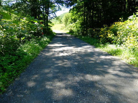 DSCF3161