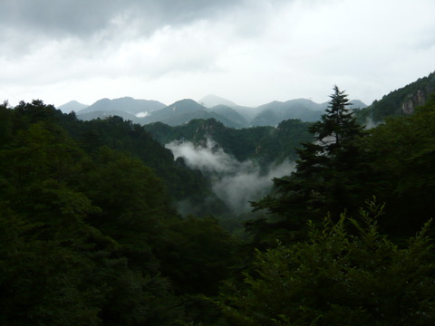 P1010651