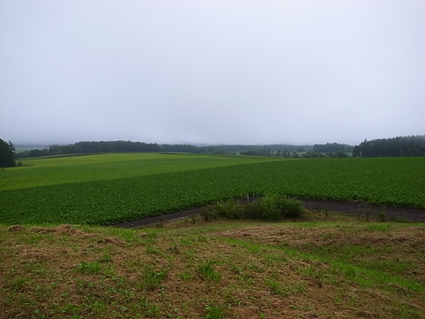 R0011866