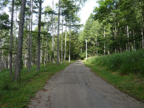 P1010698