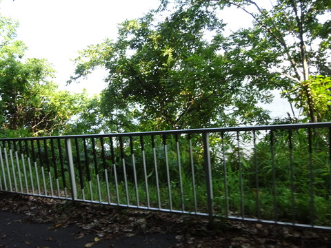 DSC00341