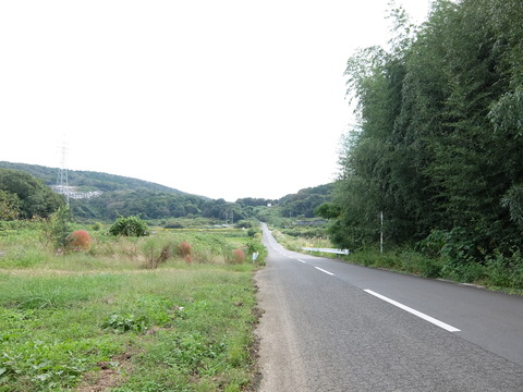 DSCF7737
