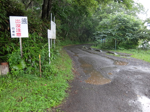 DSCF3782