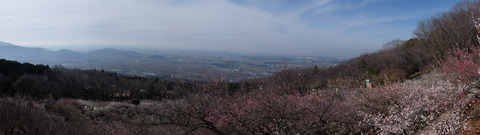 DSCF5988