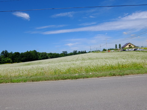 DSCF3144