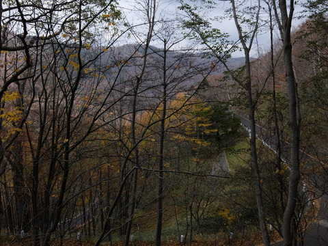 DSCF2022
