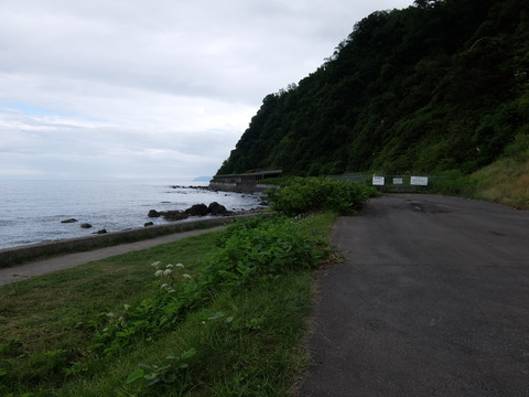DSCF4694