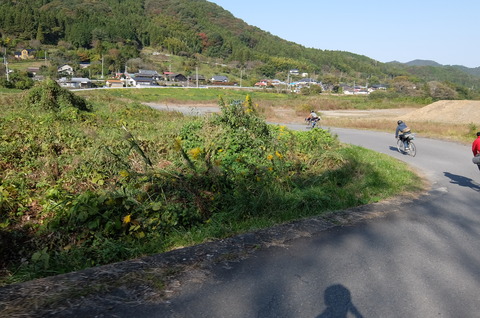 DSCF3557