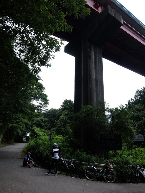 DSCF6339