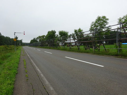 DSC00553
