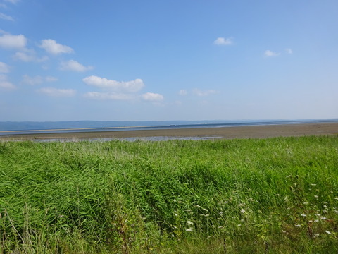 DSC00323