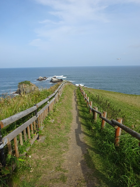 DSC00745