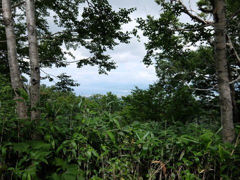 DSCF4422