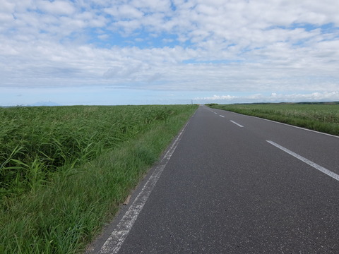 DSCF2678