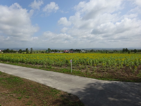 DSC00043