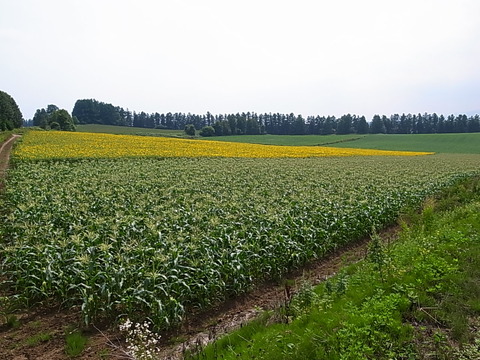 R0012137
