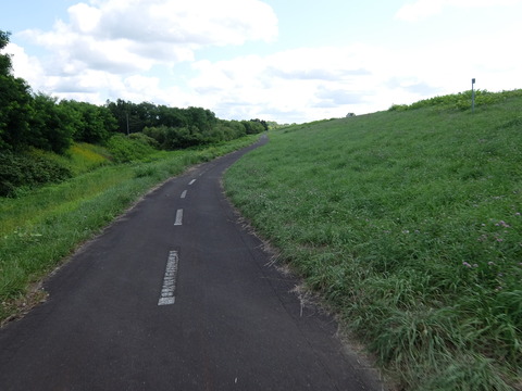 DSCF7541
