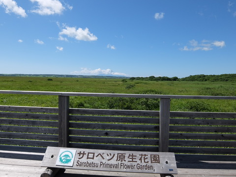 DSCF2720