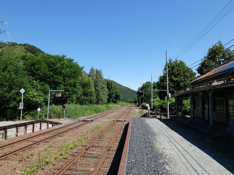 DSCF7194