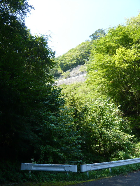 P1010864